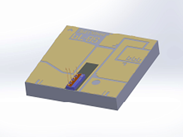 初步(封装的)分布式反馈（DFB）载体激光器芯片